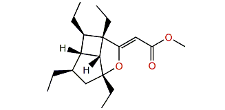 Hippolachnin A